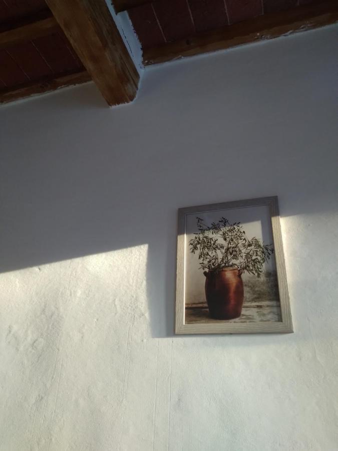 Lotte'S Guesthouse Livorno Dış mekan fotoğraf