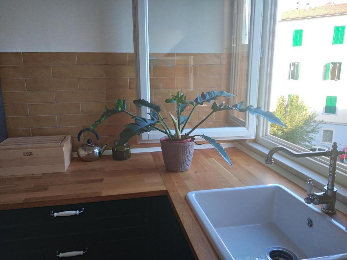 Lotte'S Guesthouse Livorno Dış mekan fotoğraf