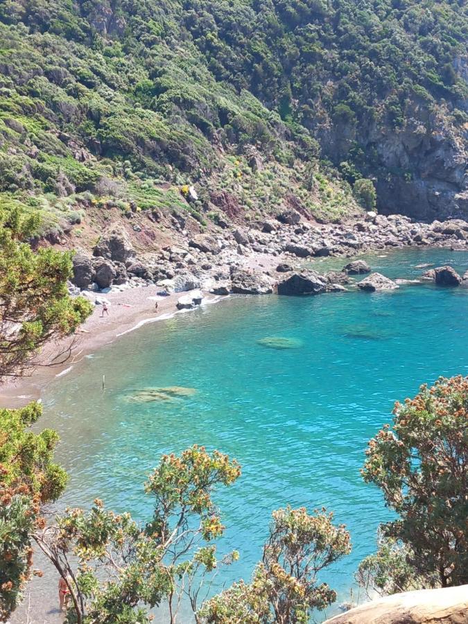 Lotte'S Guesthouse Livorno Dış mekan fotoğraf