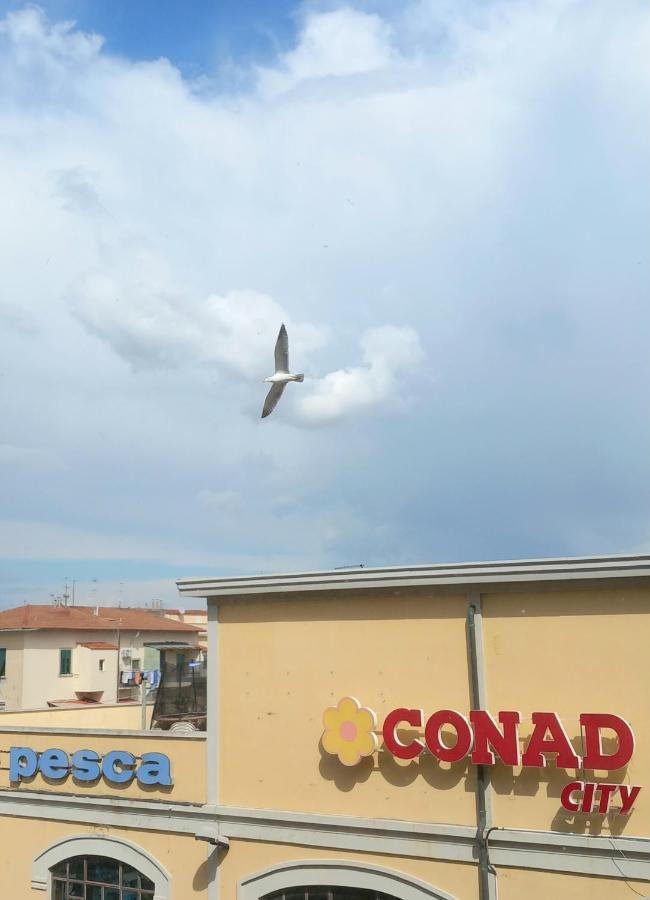 Lotte'S Guesthouse Livorno Dış mekan fotoğraf